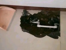儋州卫生间测漏水多少钱
